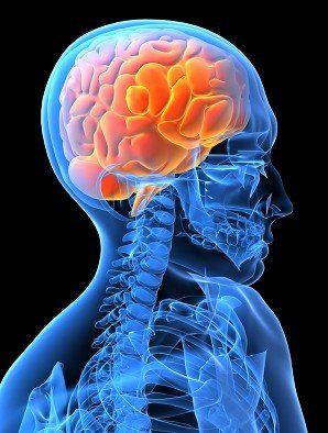 Global Indoor Health Network - Neurological injury