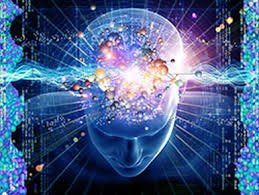 Global Indoor Health Network - Neurotoxicity