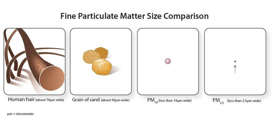 Particulates