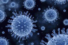 Microbial proteins