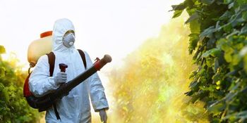 Global Indoor Health Network - Pesticides are harmful to humans, animals and plants