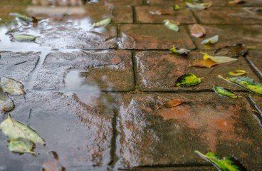 dallas-waterproof-outer-coating-stamped-concrete