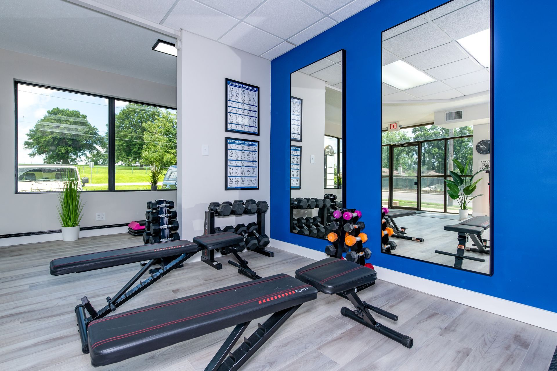 A gym with a blue wall , benches , dumbbells and mirrors.