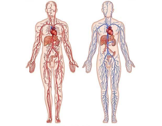 DR VÍCTOR RAÚL GÓMEZ RUIZ 