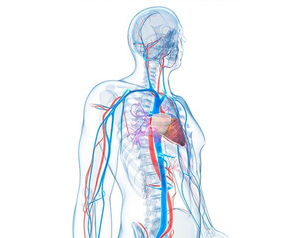 DR VÍCTOR RAÚL GÓMEZ RUIZ 