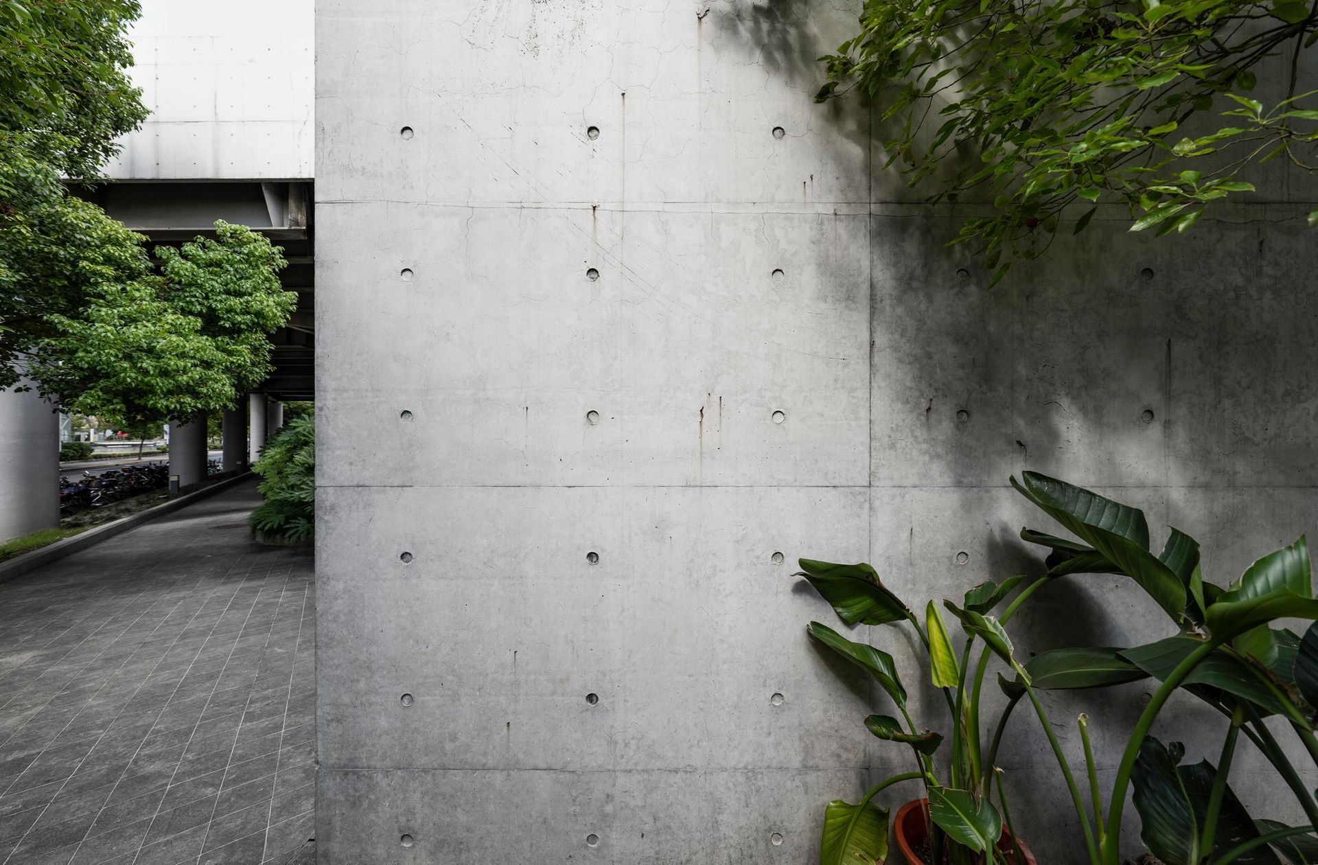 A concrete wall with plants surrounding it.