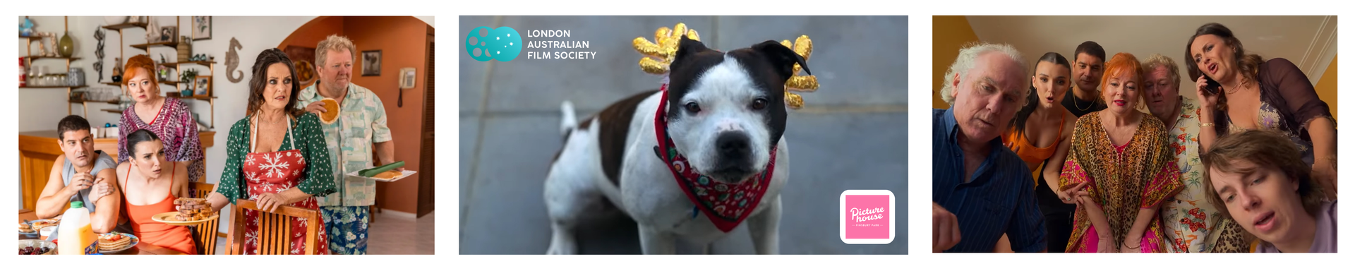 Survival of Kindness