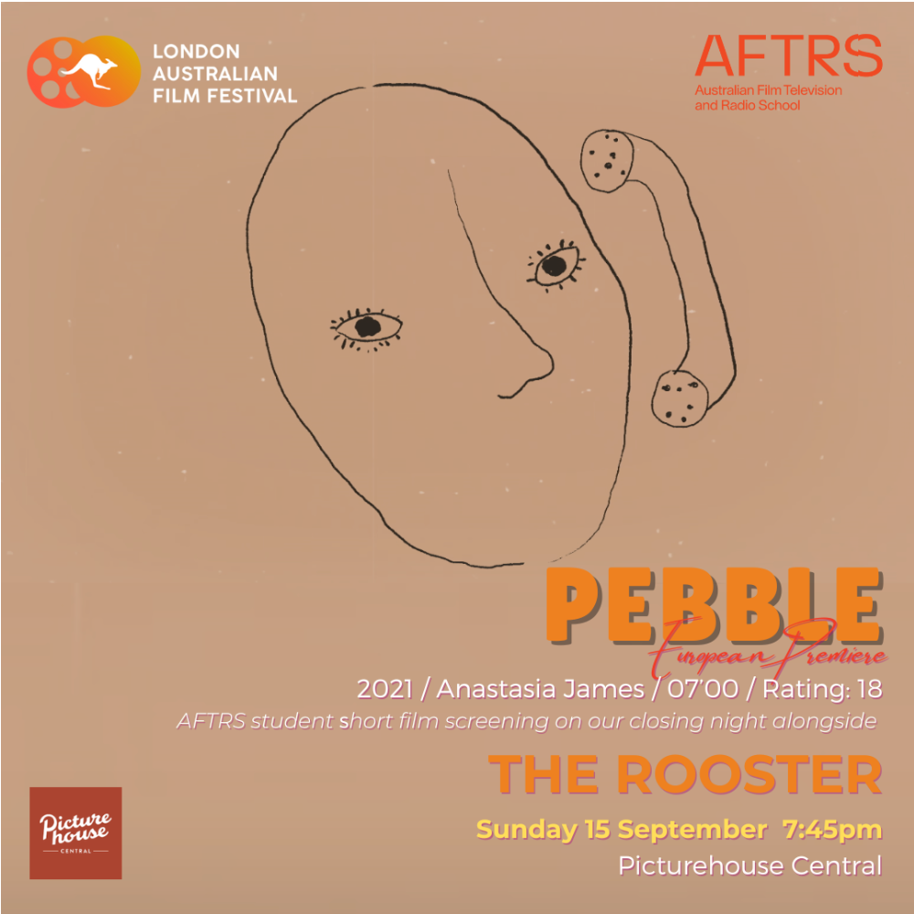 Pebble