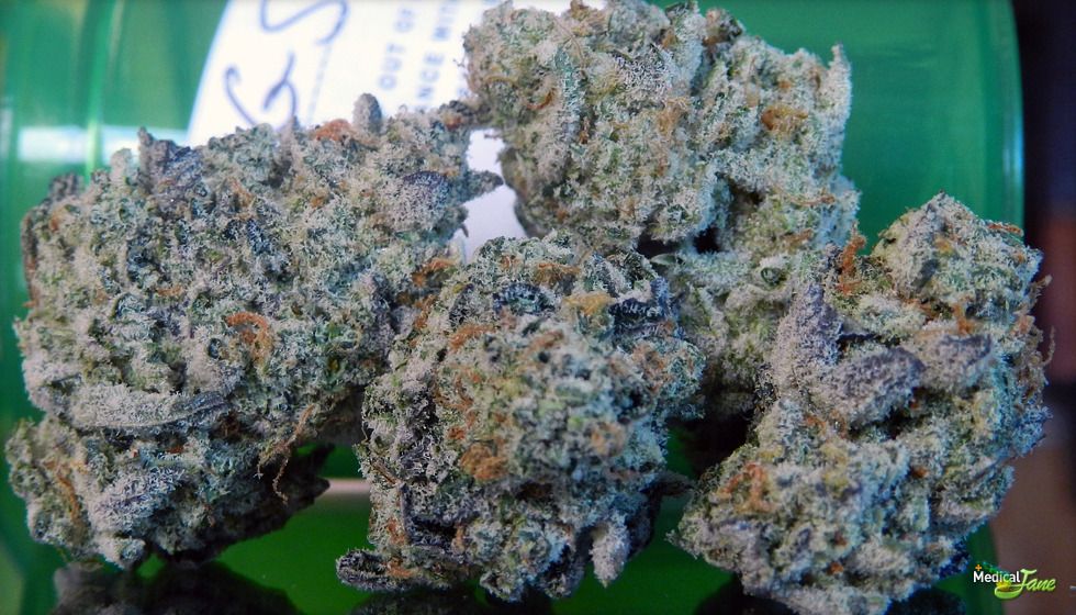 Girls Scout cookies weed medical marijuana