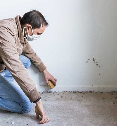 Inspectors — Man Inspection Of Dirty Mold in Corpus Christi, TX