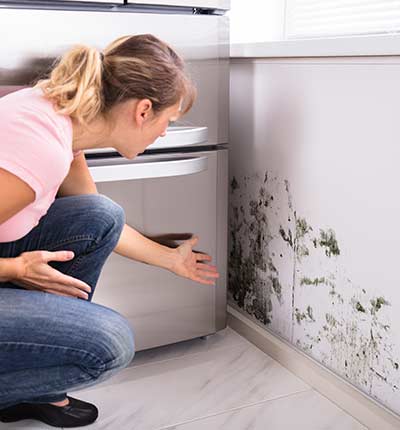 mold - problem and inspection