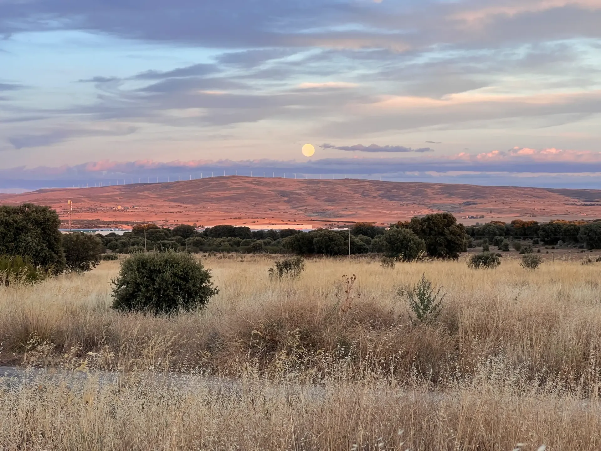 Salida de la luna sobre una llanura cubierta de hierba con arbustos dispersos y colinas rojas distantes bajo un cielo de tonos pastel.