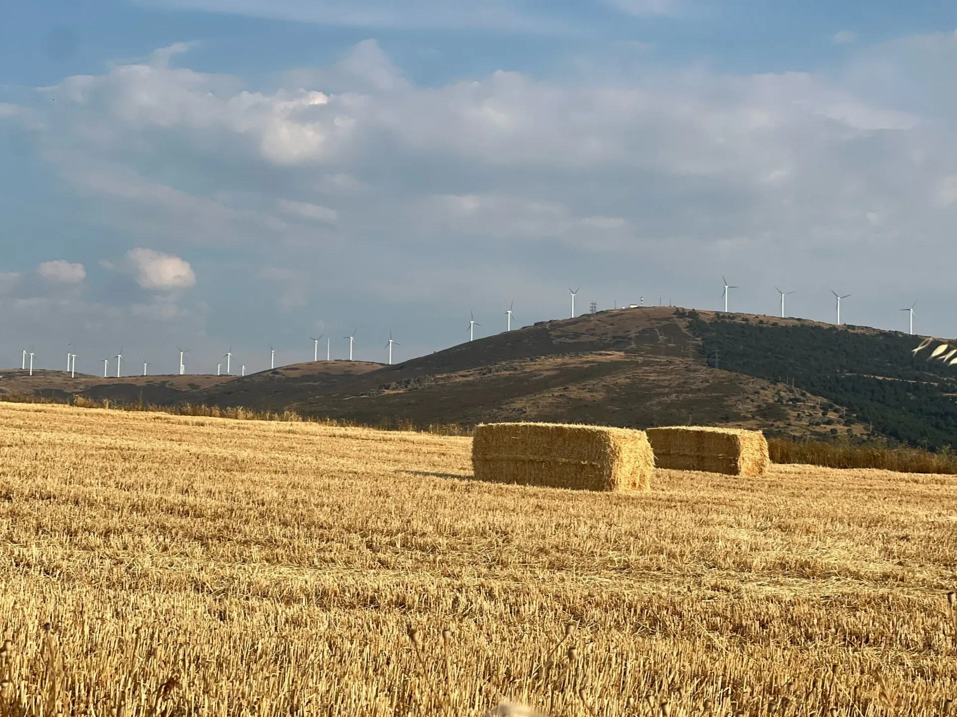 Campo dorado cosechado con fardos de heno, una pequeña colina y aerogeneradores bajo un cielo nublado.