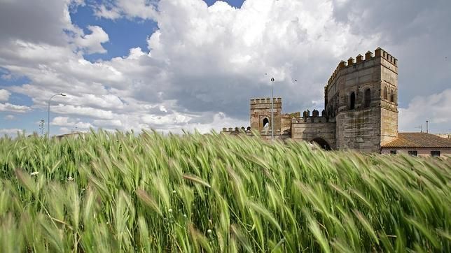 Campo de hierba en primer plano con un castillo de piedra bajo un cielo nublado.