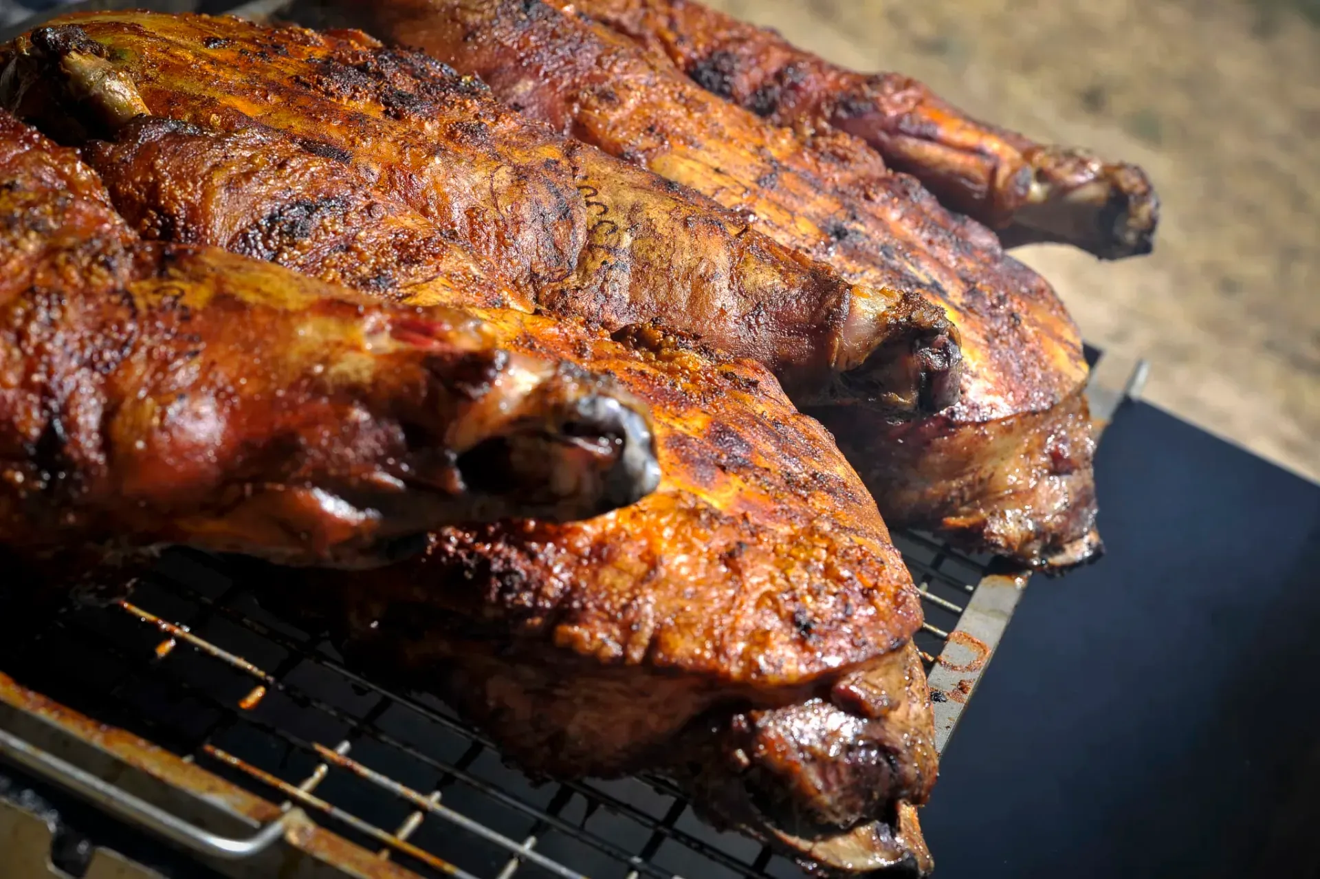 Dos aves asadas a la parrilla, con piel crujiente y dorada y bordes ligeramente chamuscados.