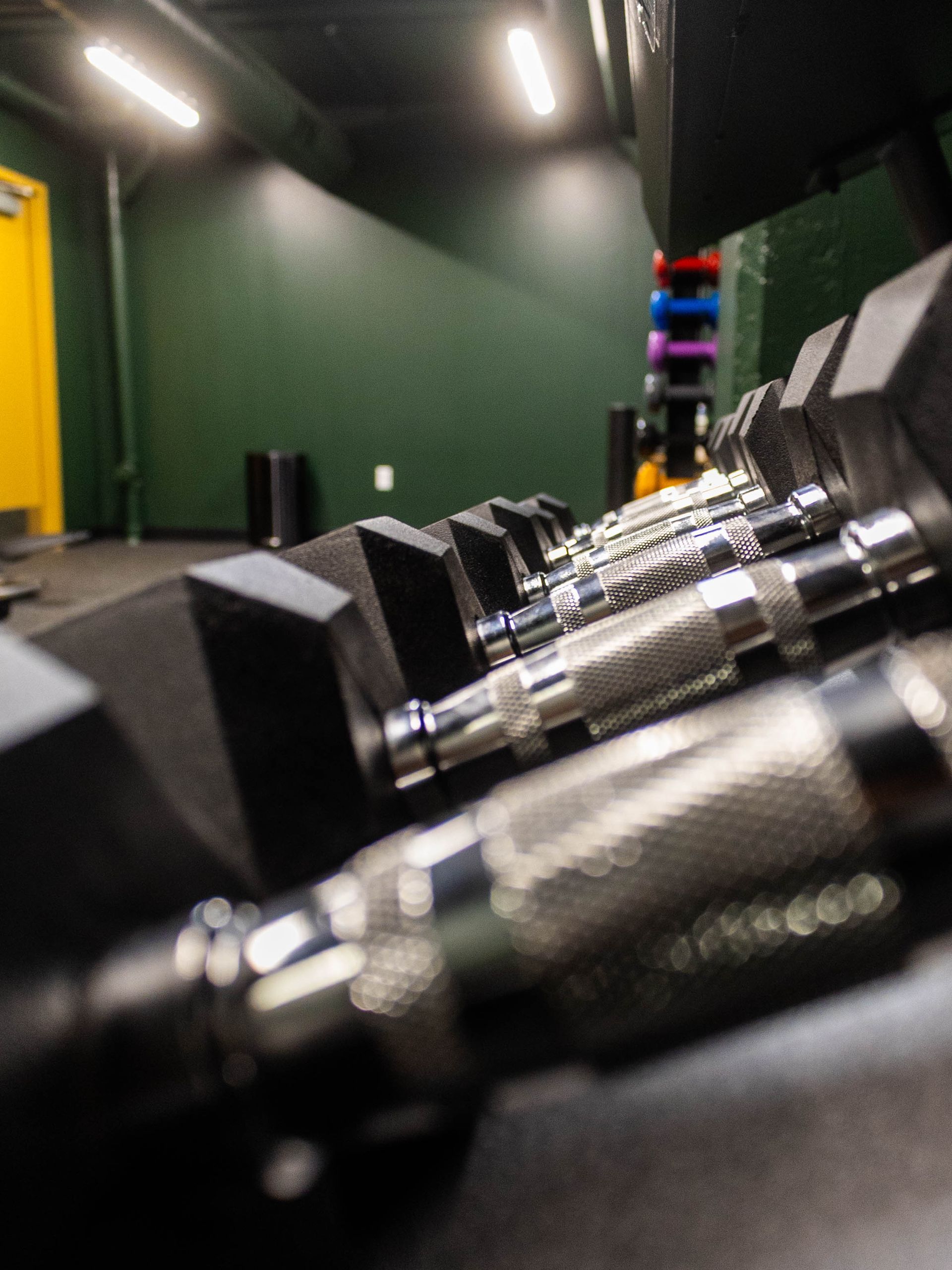 A row of black metal dumbbells sits on a gym rack with a dark green wall and bright overhead lighting in the background.