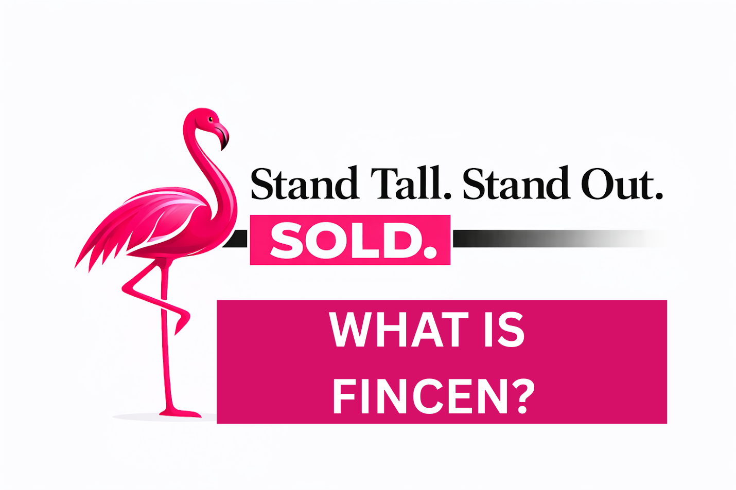 A pink flamingo stands beside text that reads, 