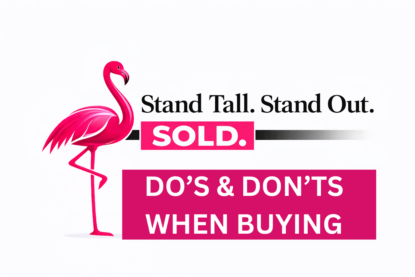 A pink flamingo graphic next to text that reads: 