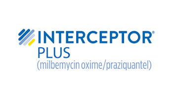 INTERCEPTOR PLUS