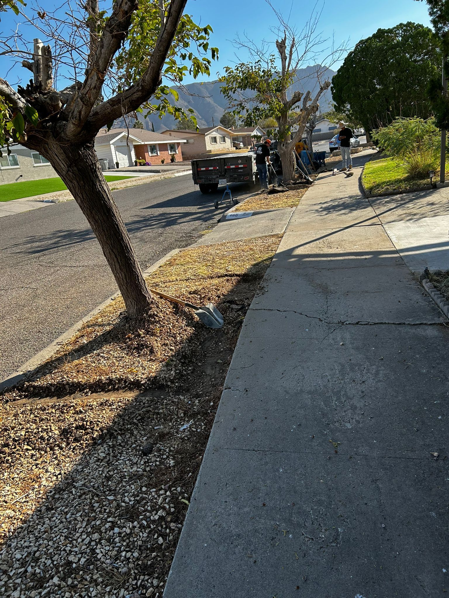 A truck is parked on the side of the road next to a tree.