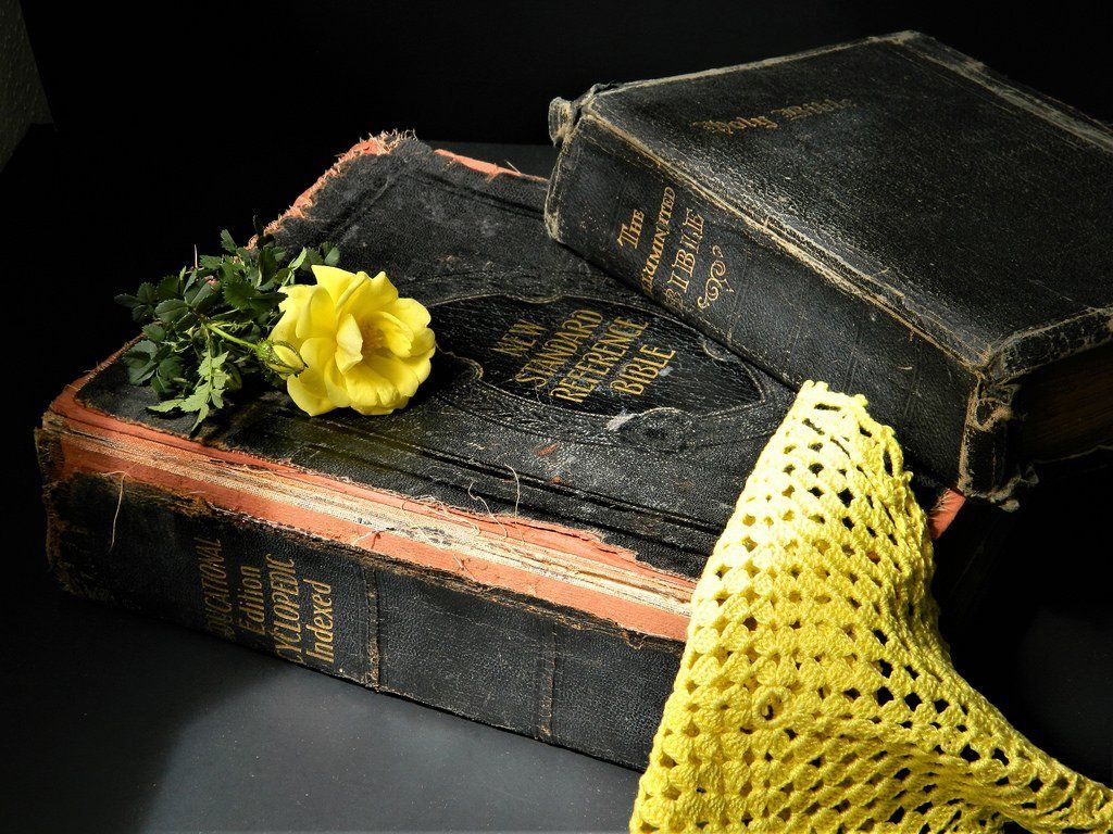A yellow flower sits on top of a stack of books