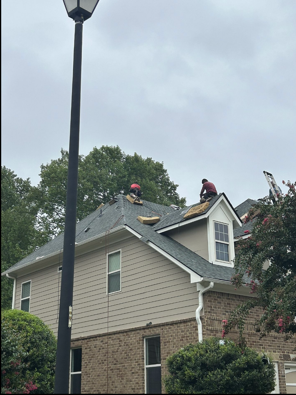 Asphalt shingle options for Georgia homes