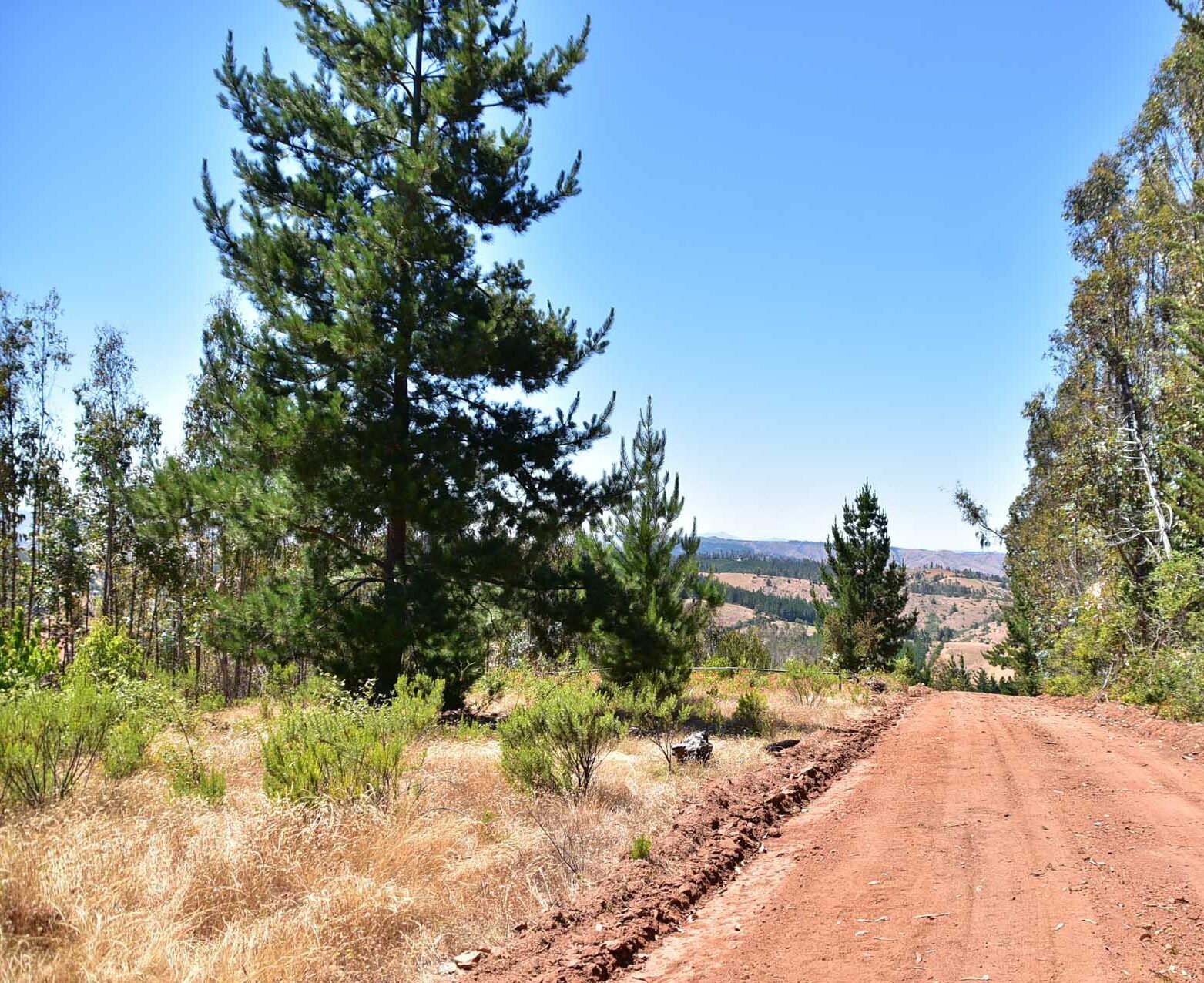 Alto Ramirez de Pichilemu