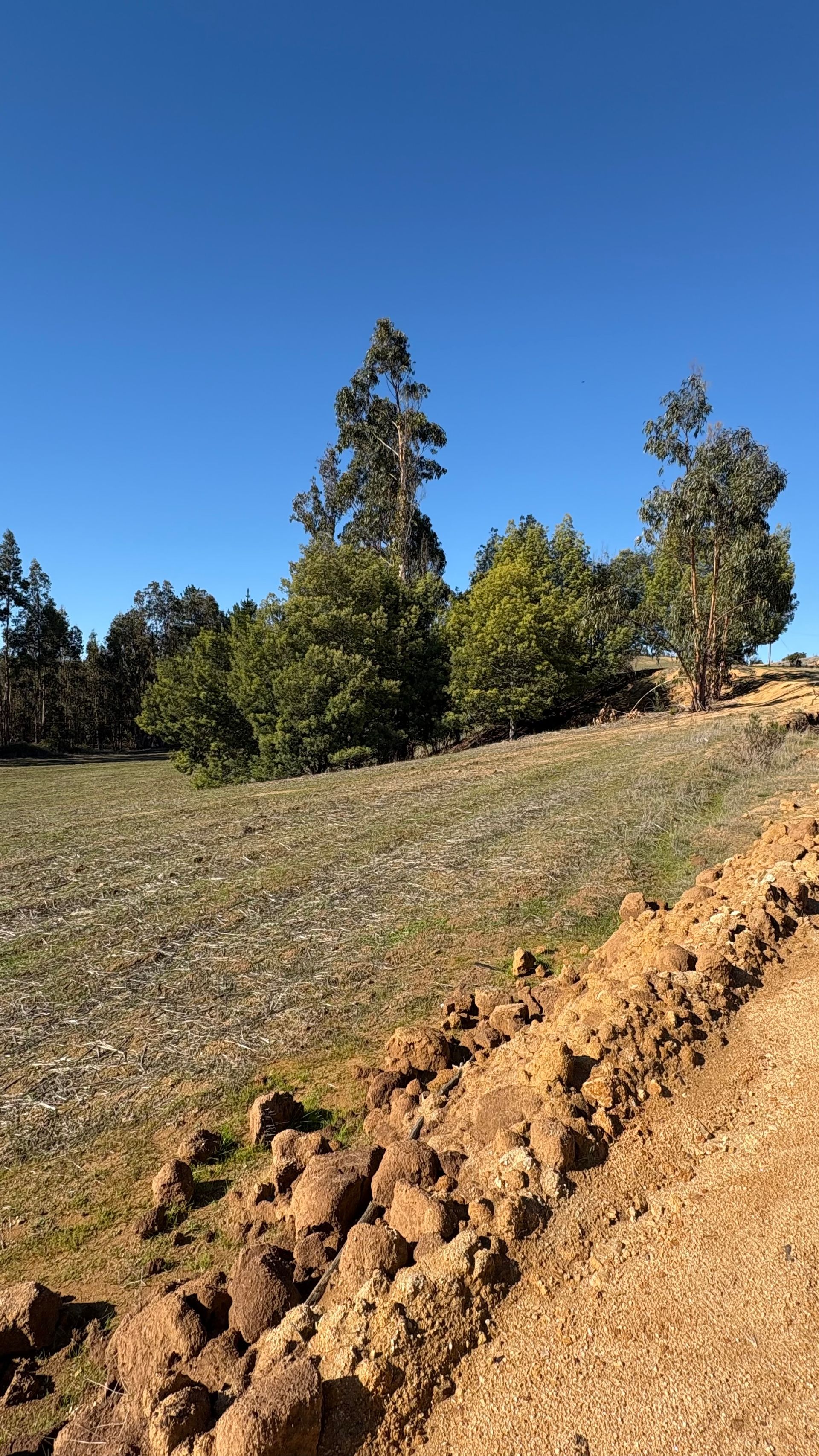 Hacienda El Quillay