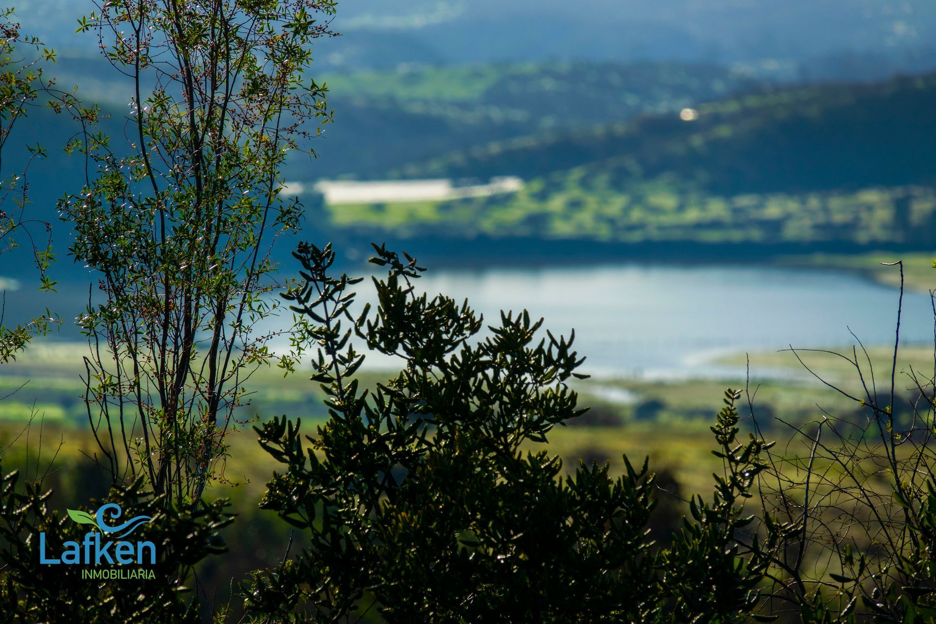 Bosque escondido