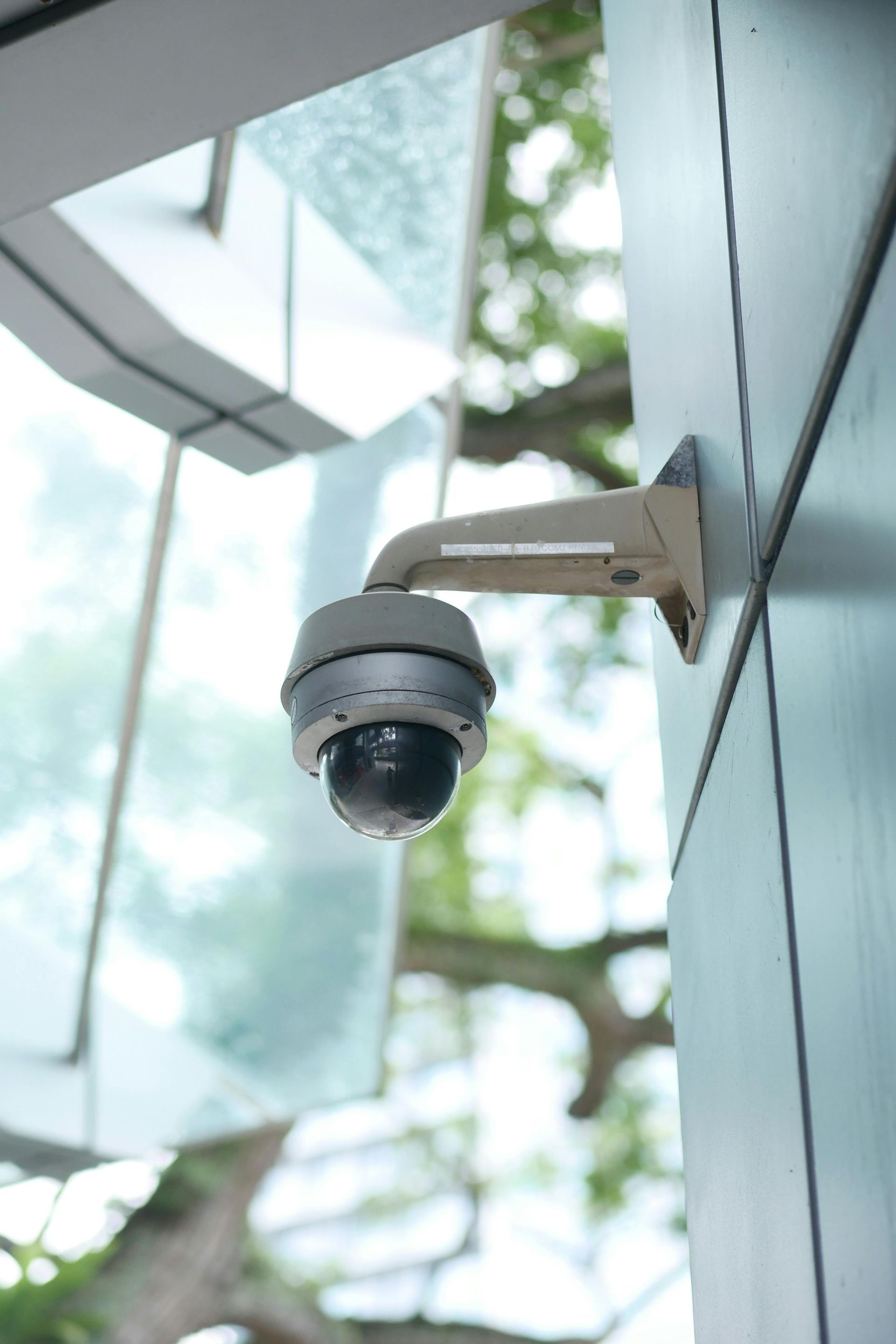 Security camera mounted on a building exterior, overlooking a glass window with a blurry tree backdrop.