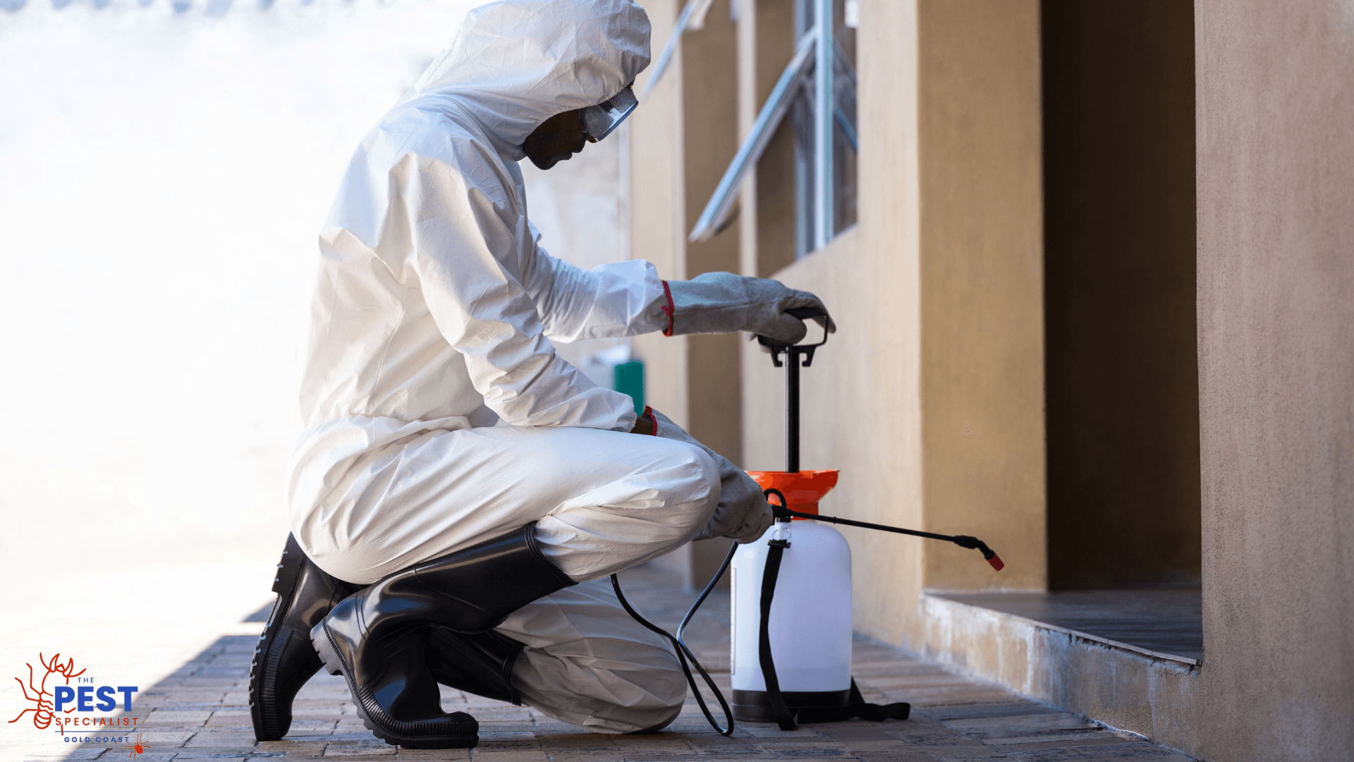 TERMITE PEST CONTROL SERVICES MERMAID WATERS