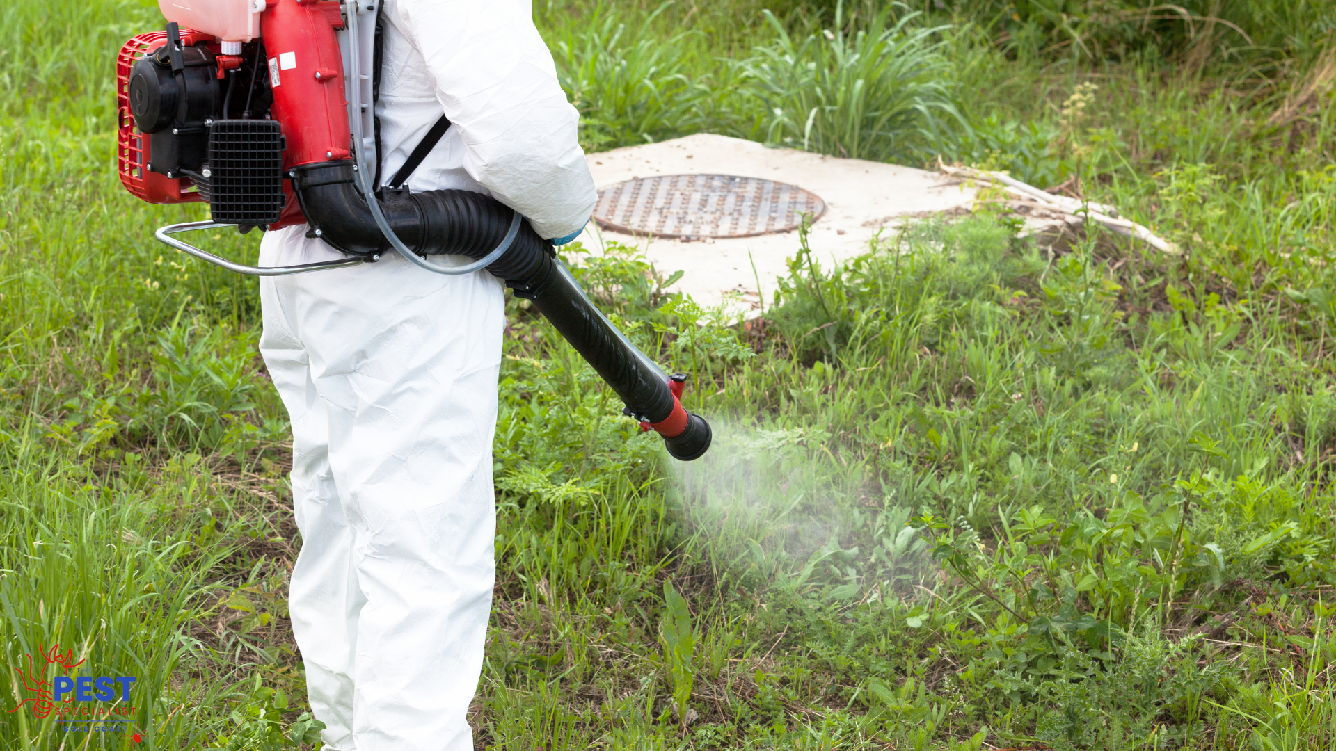 TERMITE PEST CONTROL SERVICES Worongary