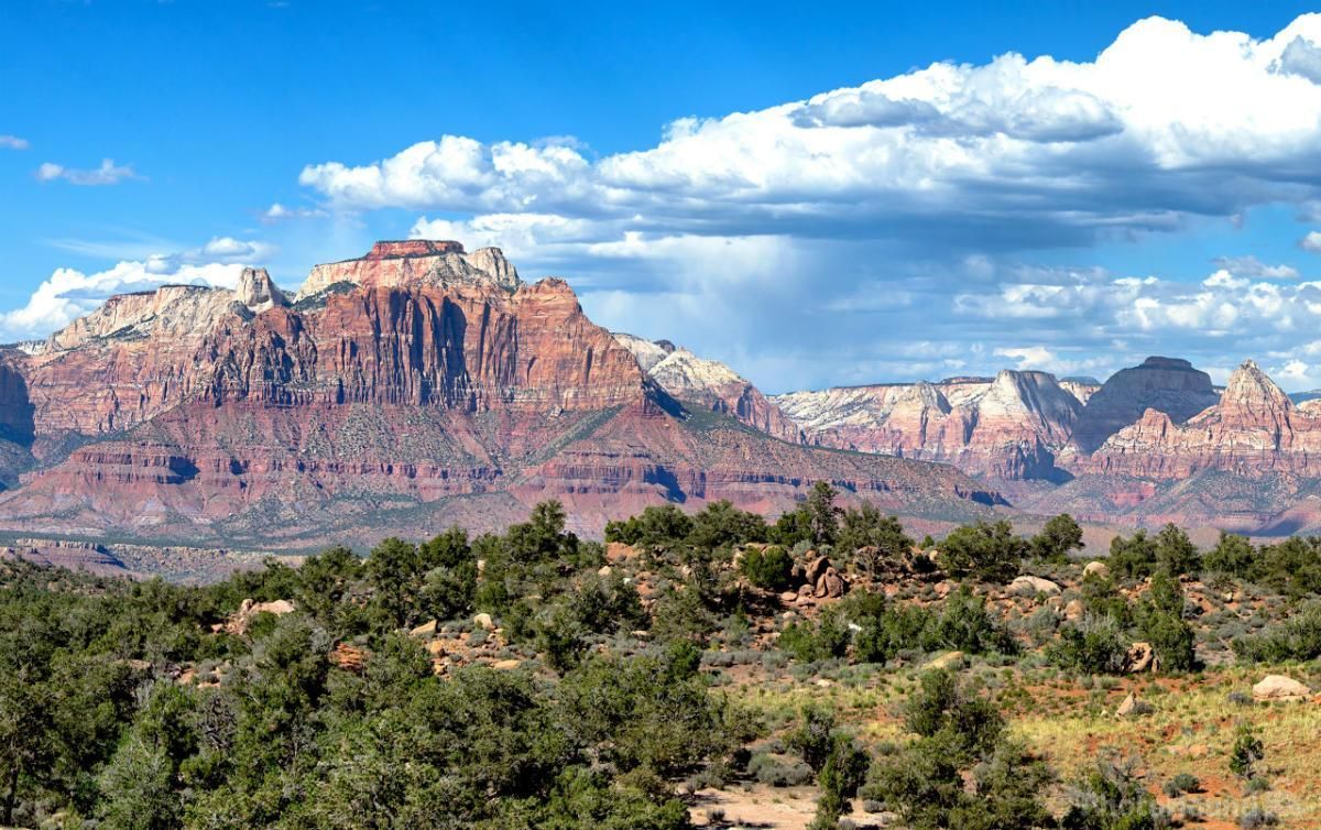 Breathtaking view of Zion National Park's towering red rock cliffs under a bright blue sky.