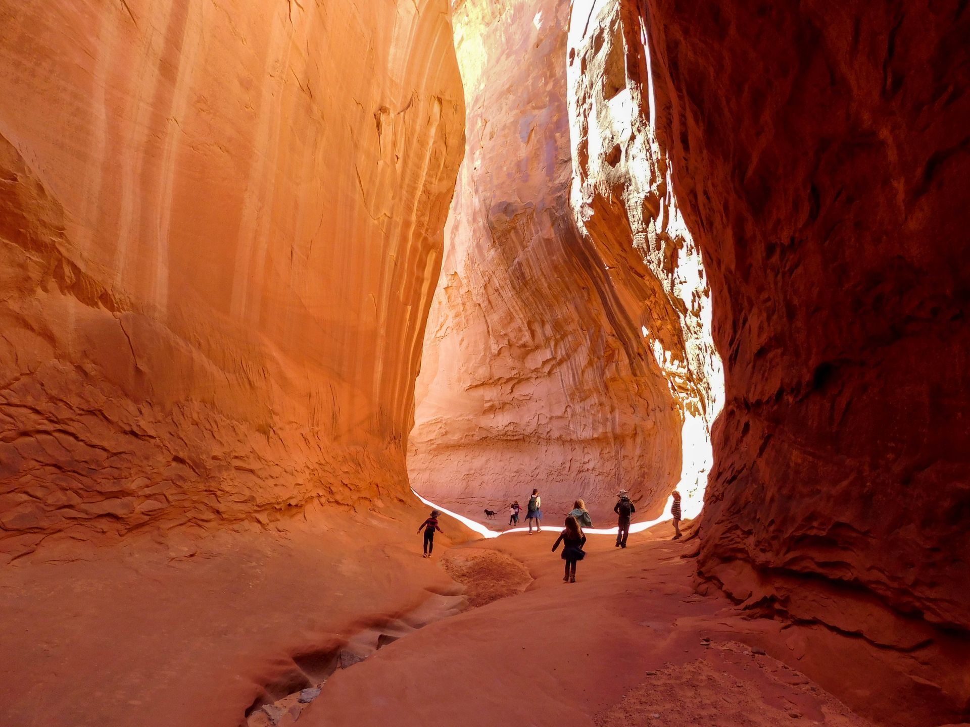 Hikers exploring a wide slot canyon with tall, smooth rock walls illuminated by sunlight. Leprechaun Canyon