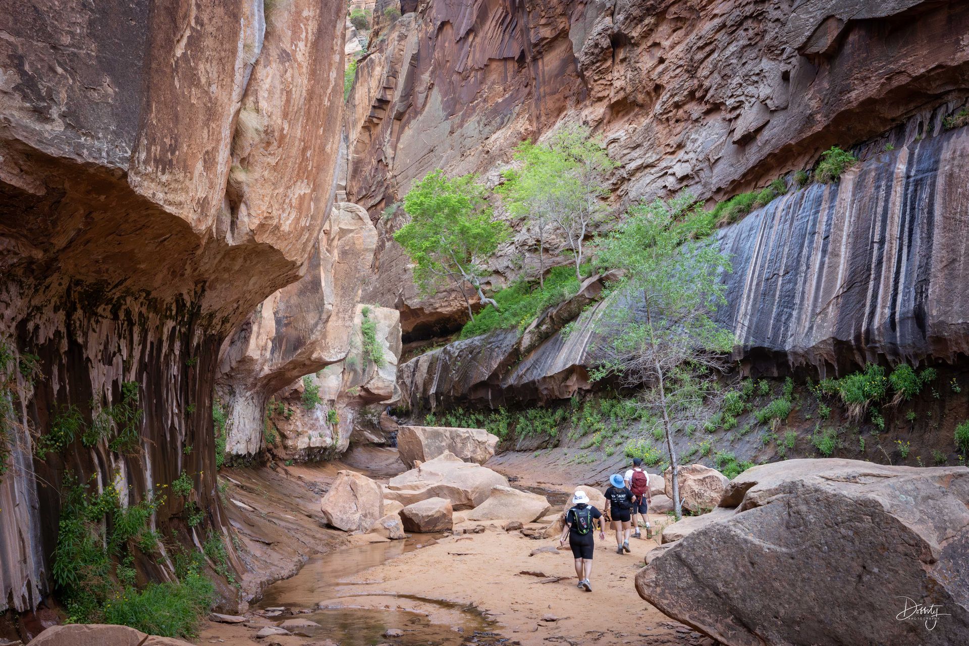 Hikers walk along the sandy trail of Water Canyon, flanked by towering sandstone cliffs 