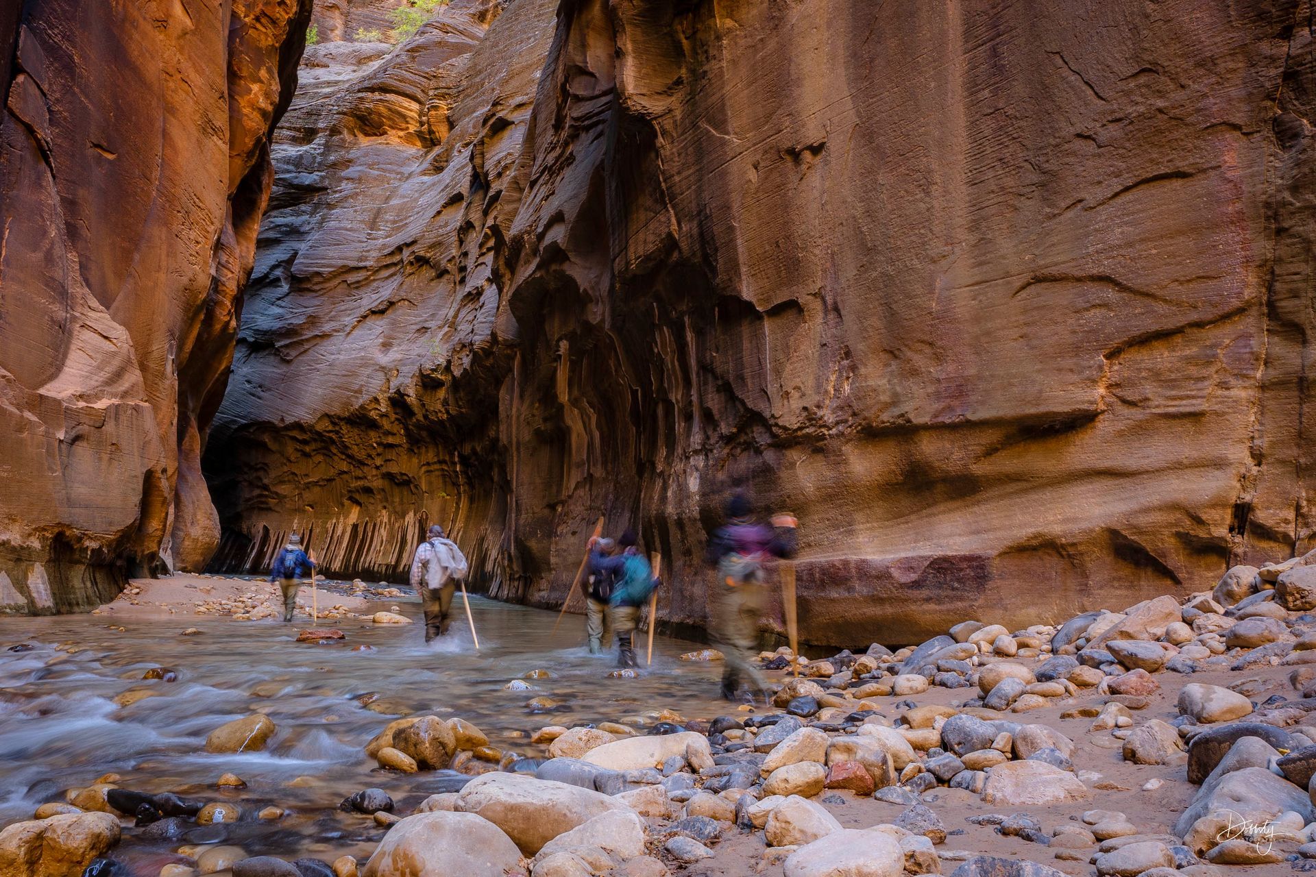 Hikers hiking in the Narrows of Zion National Park