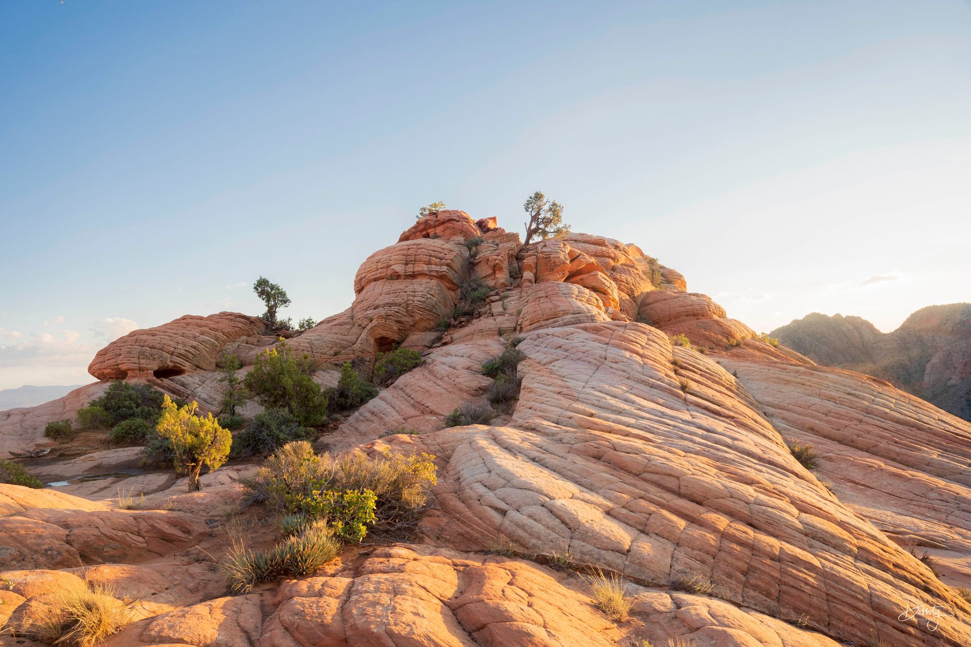 Yant Flats in Southern Utah. Geological phenomenon that is worth a visit!