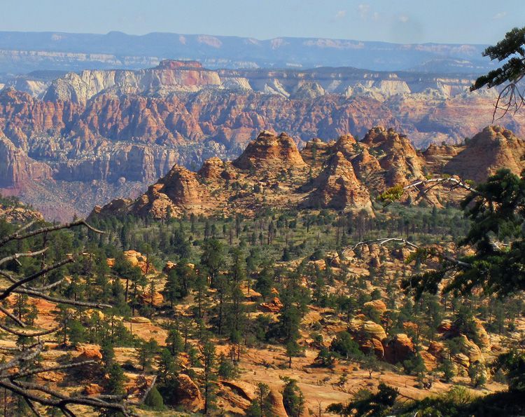 A stunning panoramic view of the Canaan Mountain Wilderness, showcasing rugged sandstone formations