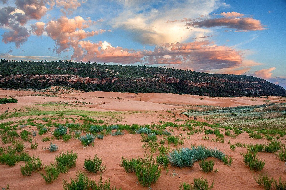 Beautiful landscape of Coral Pink Sand Dunes with green vegetation and a dramatic sky filled with colorful clouds.