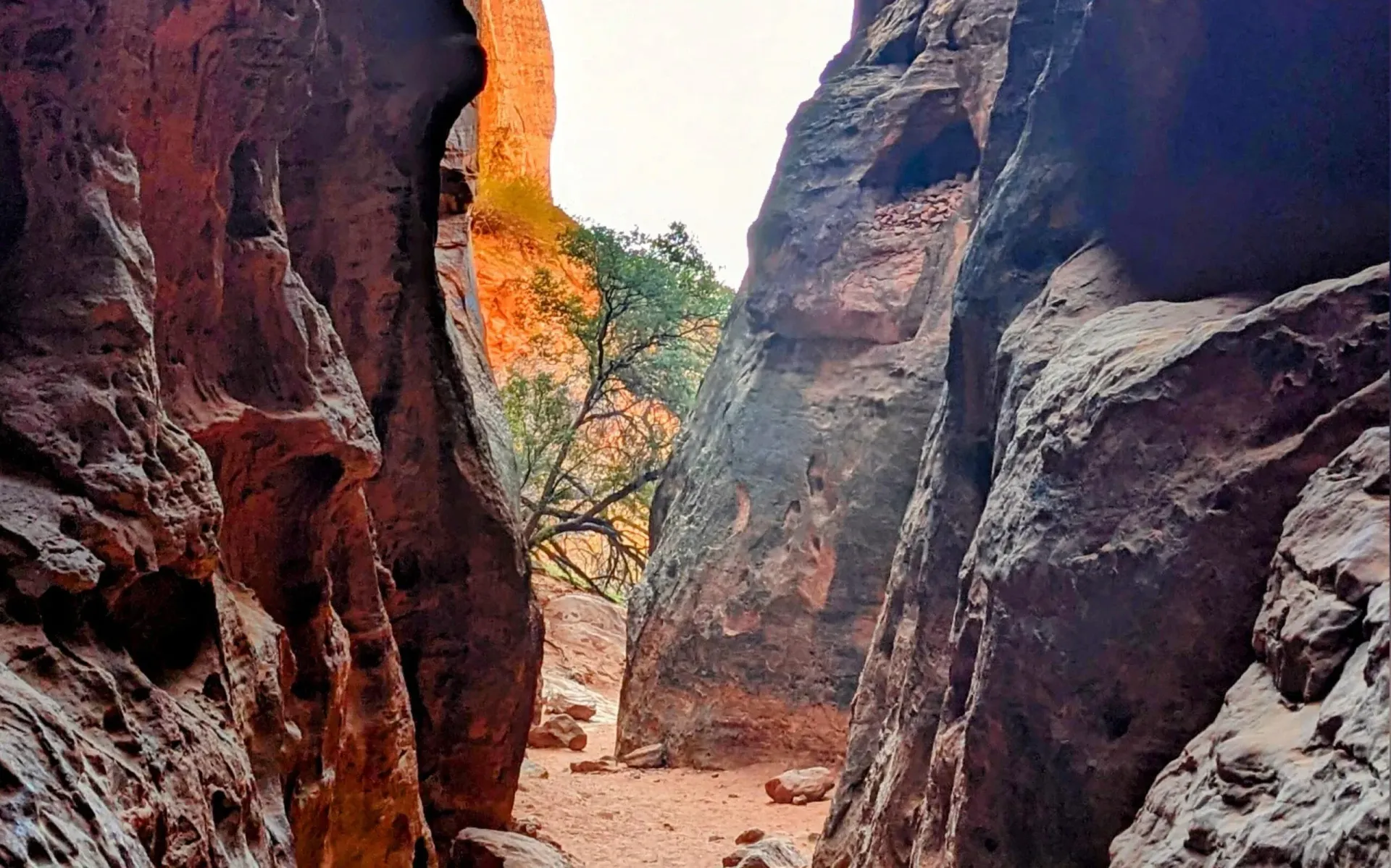 Scenic view of a narrow slot canyon with tall, rugged rock walls of Jennys Canyon in Snow Canyon.