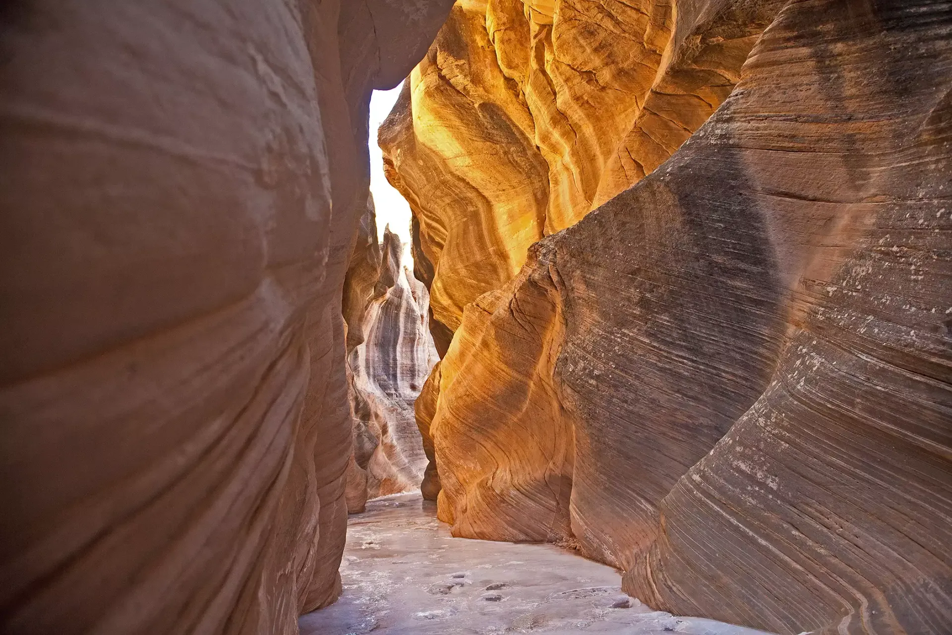 Beautiful slot canyon with smooth, wavy rock walls illuminated by sunlight, showcasing the intricate natural formations.