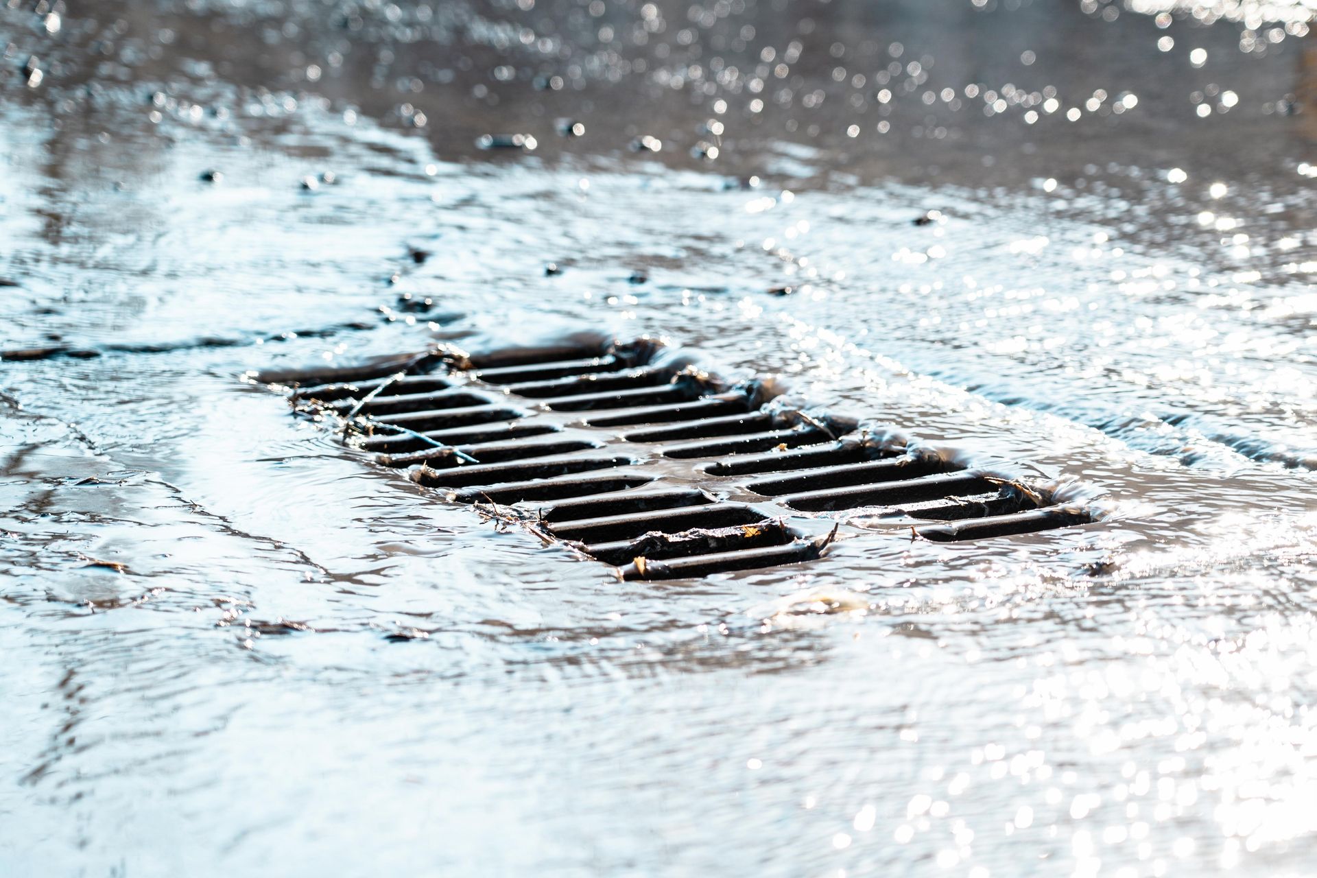 A manhole cover is filled with water on a rainy day.