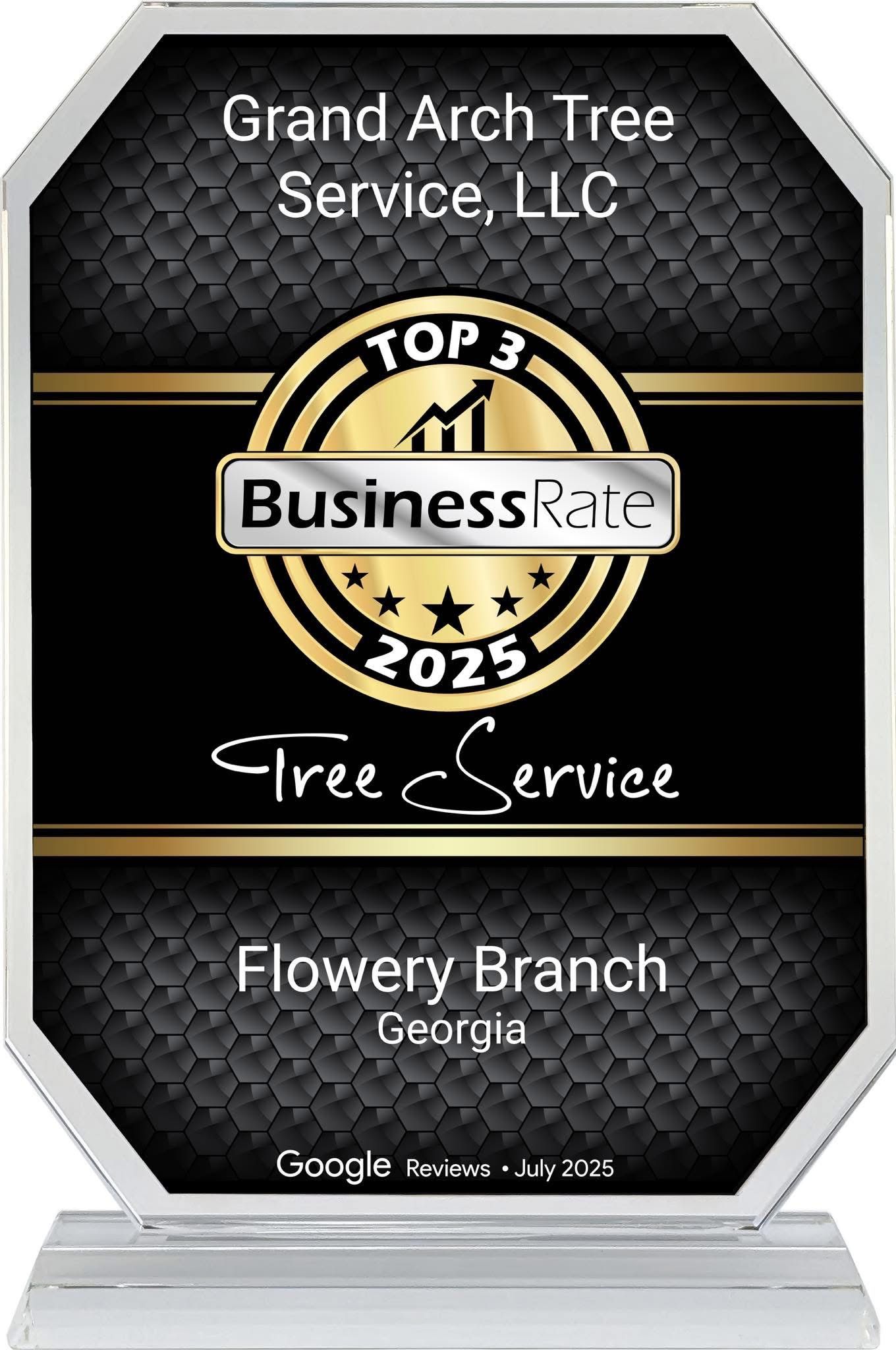 Best of Georgia 2025 award badge with a blue ribbon.