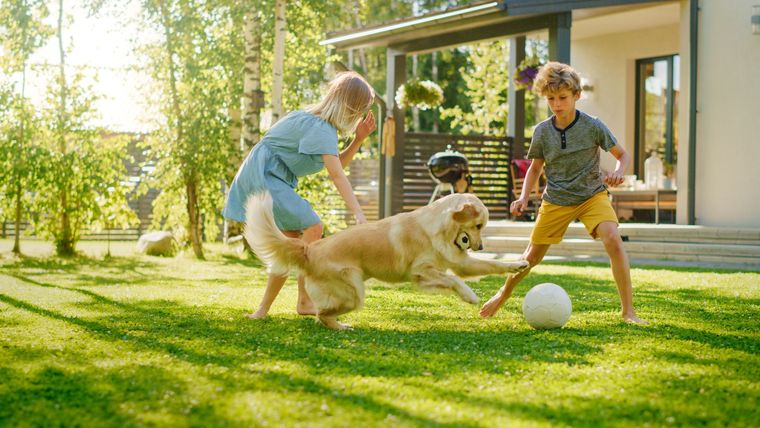 Two children play with a golden retriever and a soccer ball on a sunny lawn in front of a modern house.