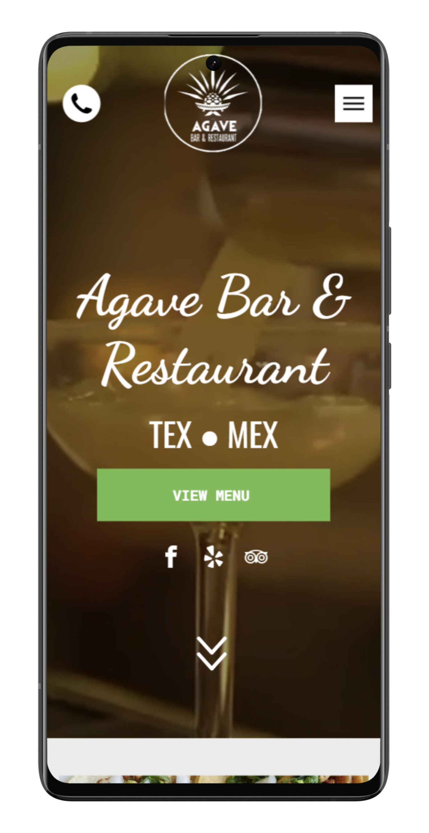 Mobile phone screen showing a website for pet illustrations. 