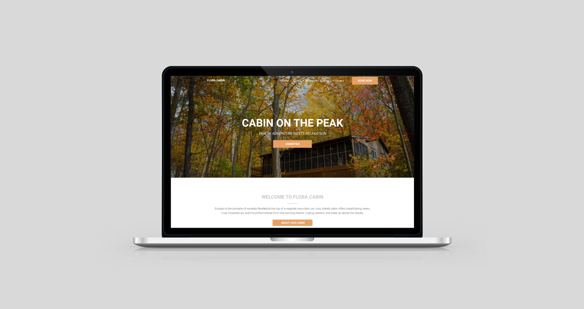 Flora Cabin Laptop View