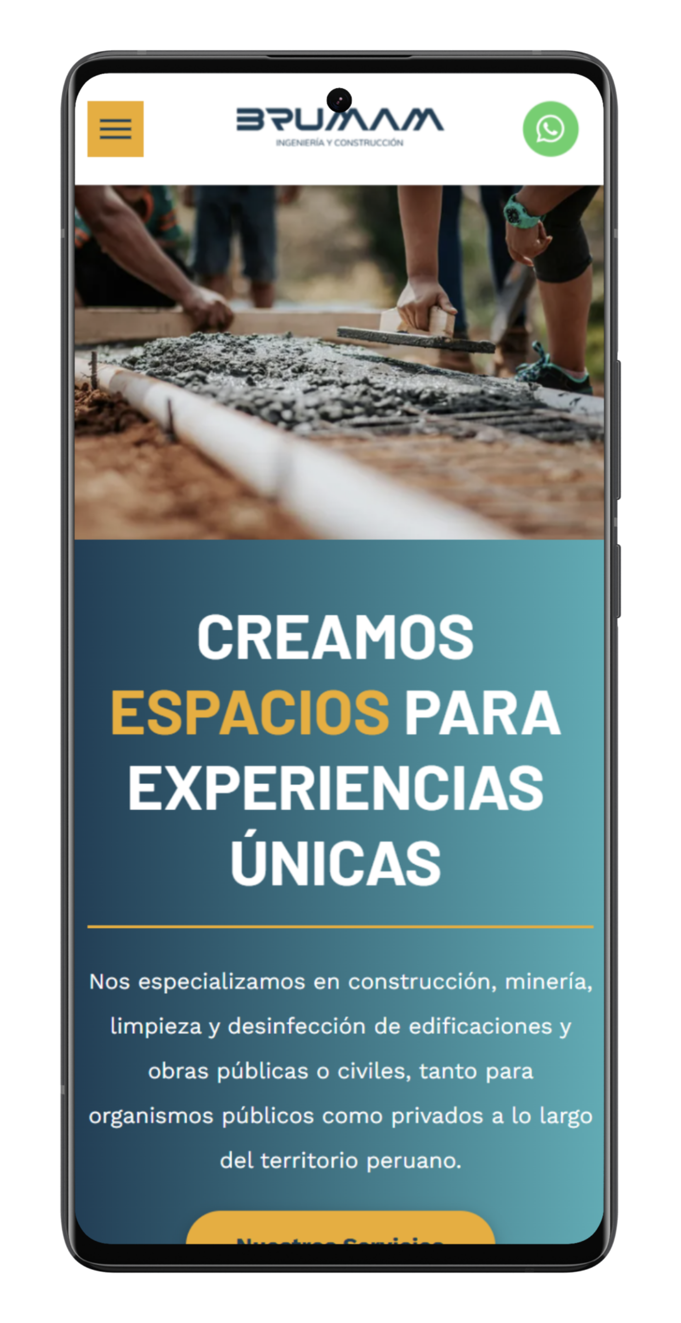 Mobile phone screen showing a website for pet illustrations. 