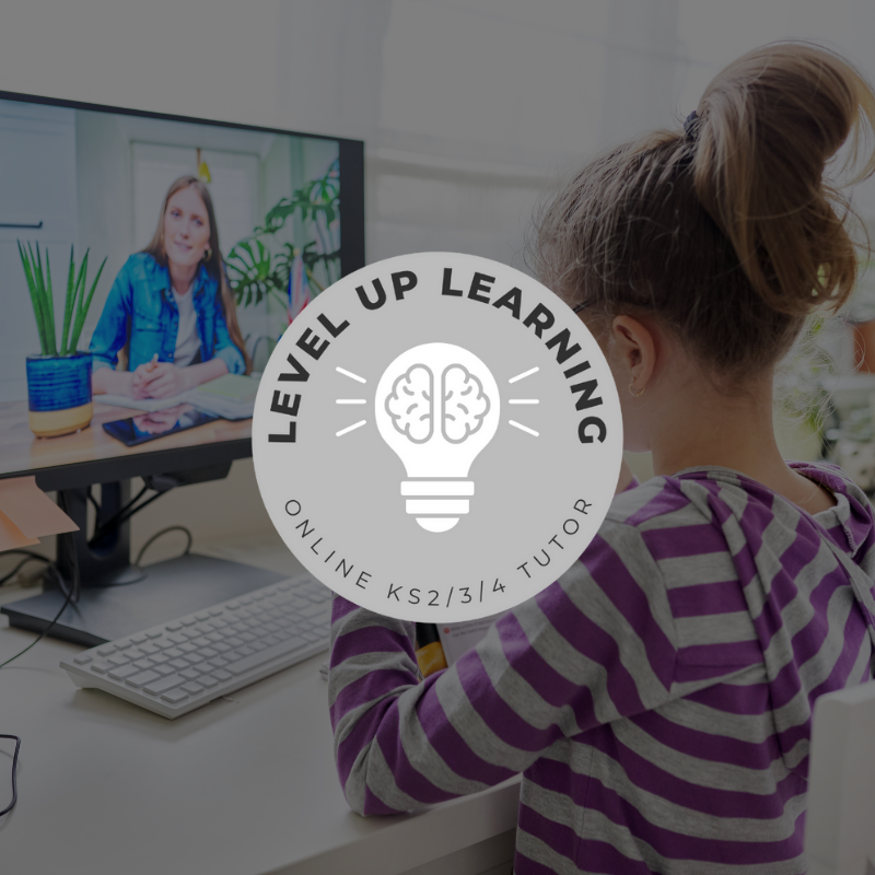 Level Up Learning mosaic