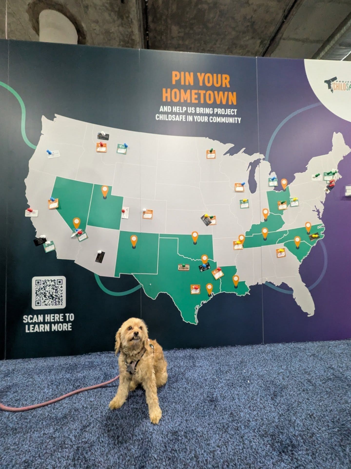 A small, light-colored dog sits on a blue carpet in front of a US map wall display titled