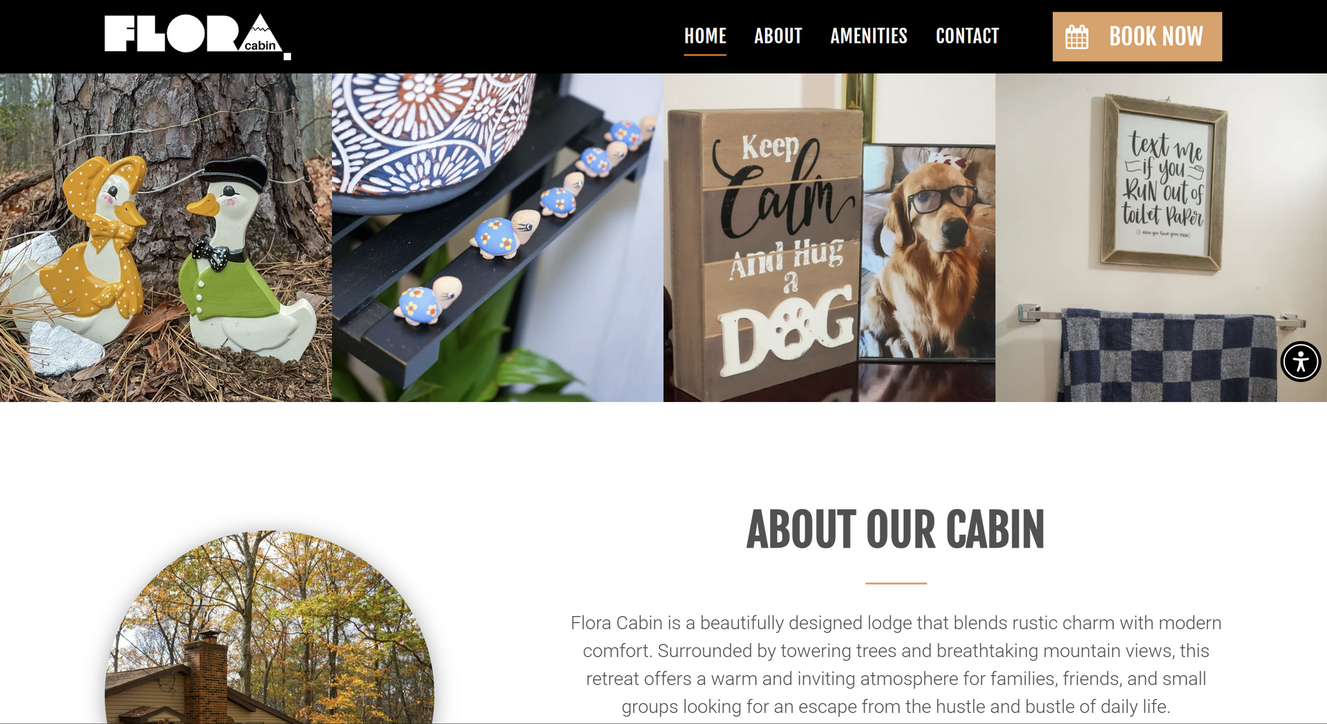 Website homepage featuring decorative items, including signs, artwork, and duck statues.